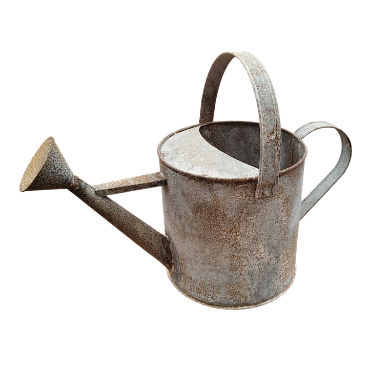 GALVANISED WATERING CAN