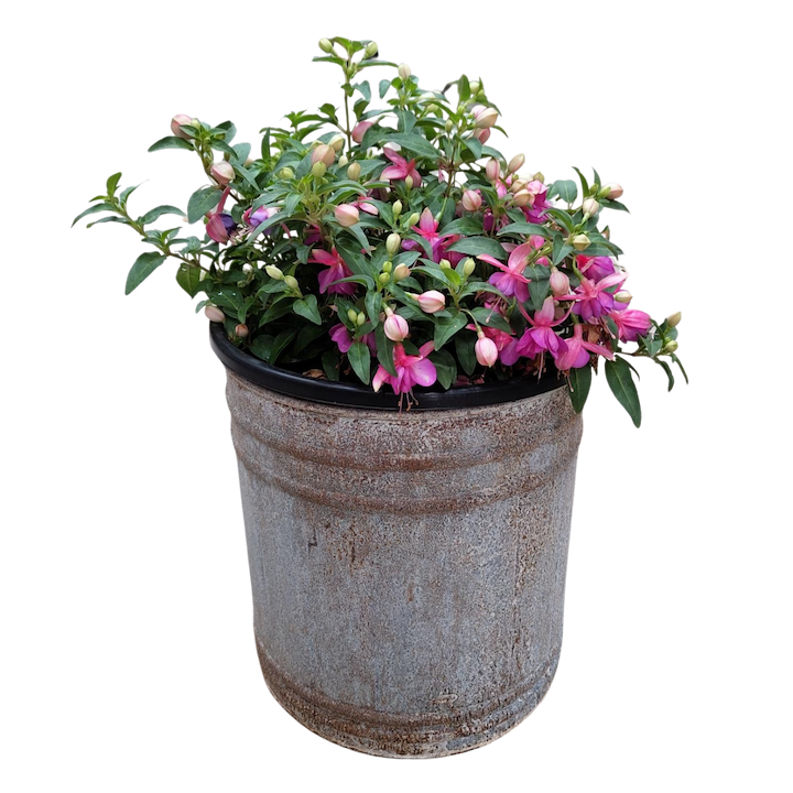 GALVANISED DRUM TUB SMALL